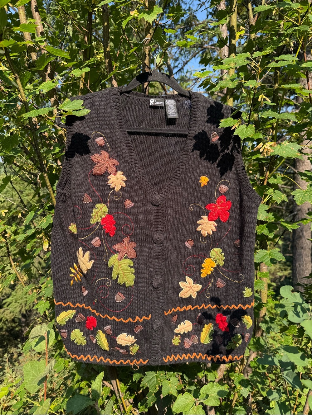Holiday Editions Black V-Neck Sweater Vest with Autumn Embroidery
